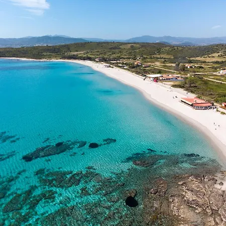 Sea Shell 66 By Klodge *