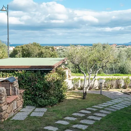 Sea Shell 66 By Klodge