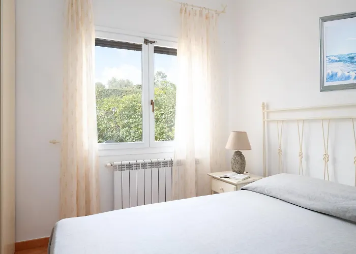 Sea Shell 66 By Klodge Olbia