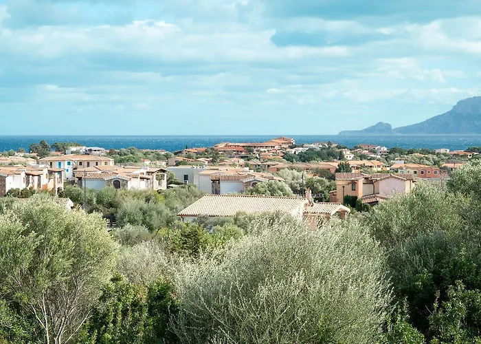 Sea Shell 66 By Klodge * Olbia