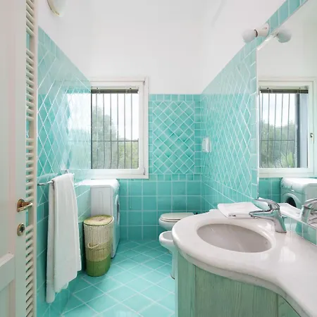 Sea Shell 66 By Klodge *