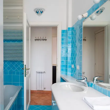 Sea Shell 66 By Klodge Olbia