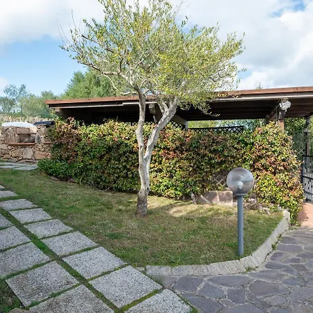 Sea Shell 66 By Klodge