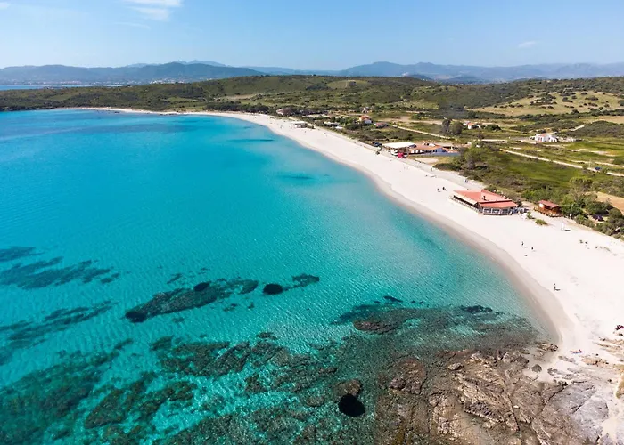 Sea Shell 66 By Klodge *