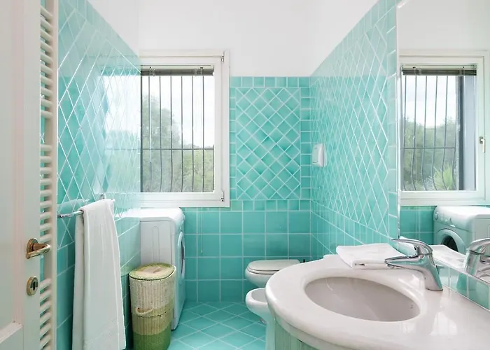 Sea Shell 66 By Klodge *