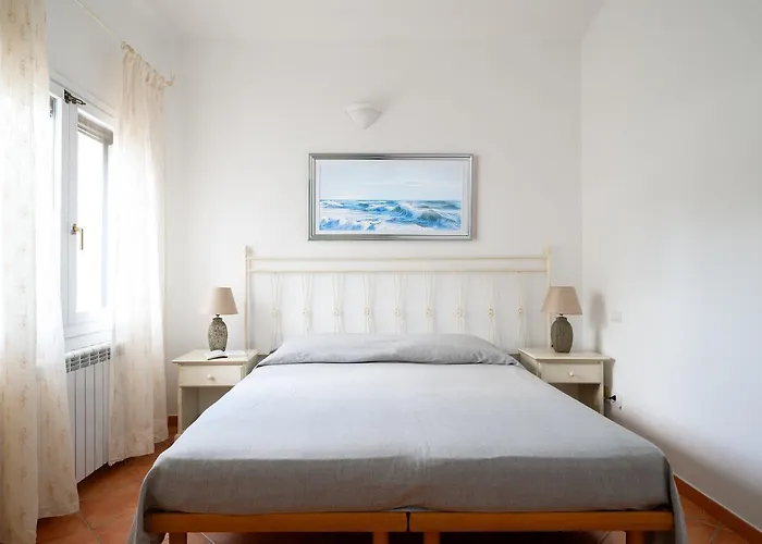 Sea Shell 66 By Klodge Olbia