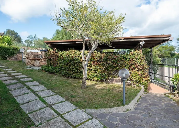 Sea Shell 66 By Klodge